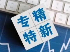 專精特新中小企業(yè)認(rèn)定標(biāo)準(zhǔn)